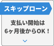 スキップローン